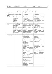 Transporto geografija - esmė, organizacijos, privalumai ir trūkumai 8 puslapis