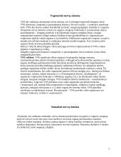 Vaiko anatomija ir fiziologija 3 puslapis