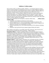 Vaiko anatomija ir fiziologija 4 puslapis