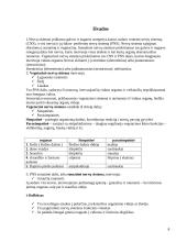 Vaiko anatomija ir fiziologija 6 puslapis