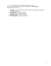 Vaiko anatomija ir fiziologija 7 puslapis