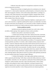 Vaikų grūdinimas 3 puslapis