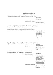 Varliagyvių rūšies apibūdinimas 4 puslapis