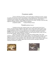 Varliagyvių rūšies apibūdinimas 7 puslapis