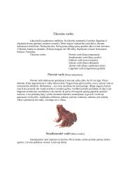 Varliagyvių rūšies apibūdinimas 8 puslapis