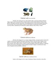 Varliagyvių rūšies apibūdinimas 9 puslapis