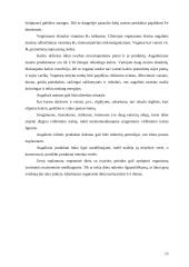 Vegetarizmo privalumai ir trūkumai 12 puslapis