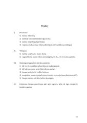 Vegetarizmo privalumai ir trūkumai 13 puslapis