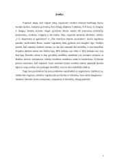 Vegetarizmo privalumai ir trūkumai 3 puslapis