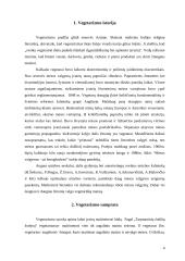 Vegetarizmo privalumai ir trūkumai 4 puslapis