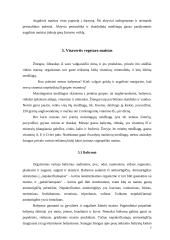 Vegetarizmo privalumai ir trūkumai 7 puslapis