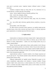 Vegetarizmo privalumai ir trūkumai 8 puslapis