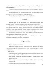 Vegetarizmo privalumai ir trūkumai 10 puslapis