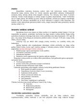 Verslo sėkmė. Verslo rizika 3 puslapis