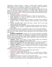 Verslo sėkmė. Verslo rizika 4 puslapis