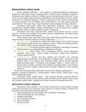 Verslo sėkmė. Verslo rizika 5 puslapis