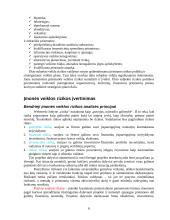 Verslo sėkmė. Verslo rizika 6 puslapis