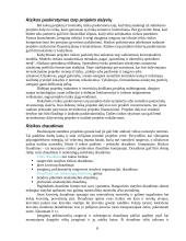 Verslo sėkmė. Verslo rizika 8 puslapis