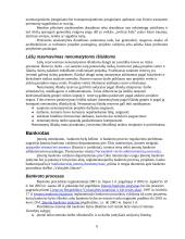 Verslo sėkmė. Verslo rizika 9 puslapis