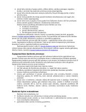 Verslo sėkmė. Verslo rizika 10 puslapis