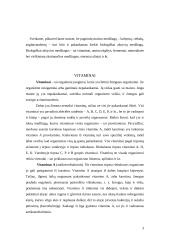 Mineralinės medžiagos ir vitaminai 2 puslapis