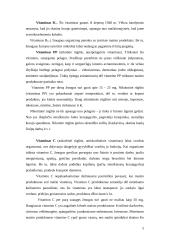 Mineralinės medžiagos ir vitaminai 4 puslapis