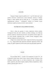 Mineralinės medžiagos ir vitaminai 7 puslapis