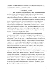 Žmonių baimės 6 puslapis