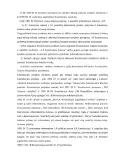 Lietuvos konstitucingumo raida 20 puslapis