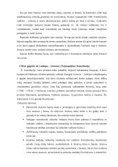 Lietuvos konstitucingumo raida 3 puslapis