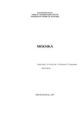 Meksika. Semestrinis darbas