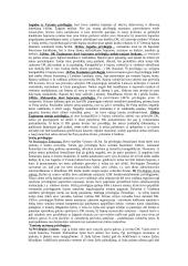 Lietuvos valstybės ir teisės istorija 2 puslapis