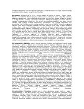 Mileto mokykla 11 puslapis