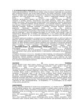 Mileto mokykla 16 puslapis