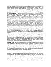 Mileto mokykla 6 puslapis