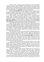 Nusikaltimų kvalifikavimo problemos 4 puslapis