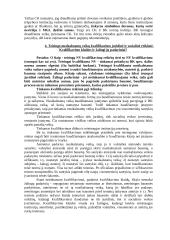 Nusikaltimų kvalifikavimo problemos 5 puslapis