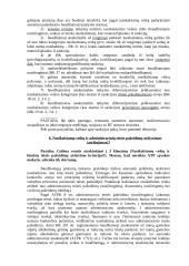 Nusikaltimų kvalifikavimo problemos 9 puslapis