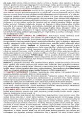Standartizacijos teorija 2 puslapis