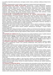 Standartizacijos teorija 4 puslapis