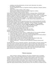 Tekstas ir elementai 2 puslapis