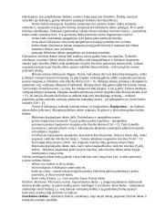 Tekstas ir elementai 3 puslapis