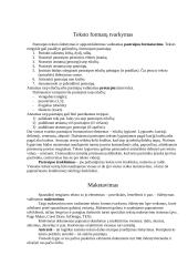 Tekstas ir elementai 4 puslapis