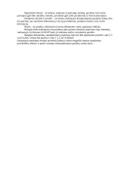 Tekstas ir elementai 5 puslapis