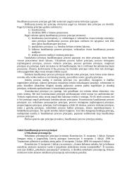 Baudžiamojo proceso teisės esmė ir principai 2 puslapis