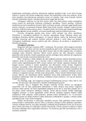 Baudžiamojo proceso teisės esmė ir principai 6 puslapis