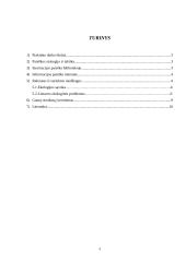 Informacija ir informacijos paieška 2 puslapis