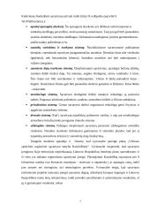 Informacija ir informacijos paieška 7 puslapis