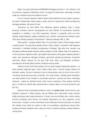 Informacija ir informacijos paieška 8 puslapis