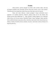 Platono kūrinys „Sokrato apologija“ 5 puslapis